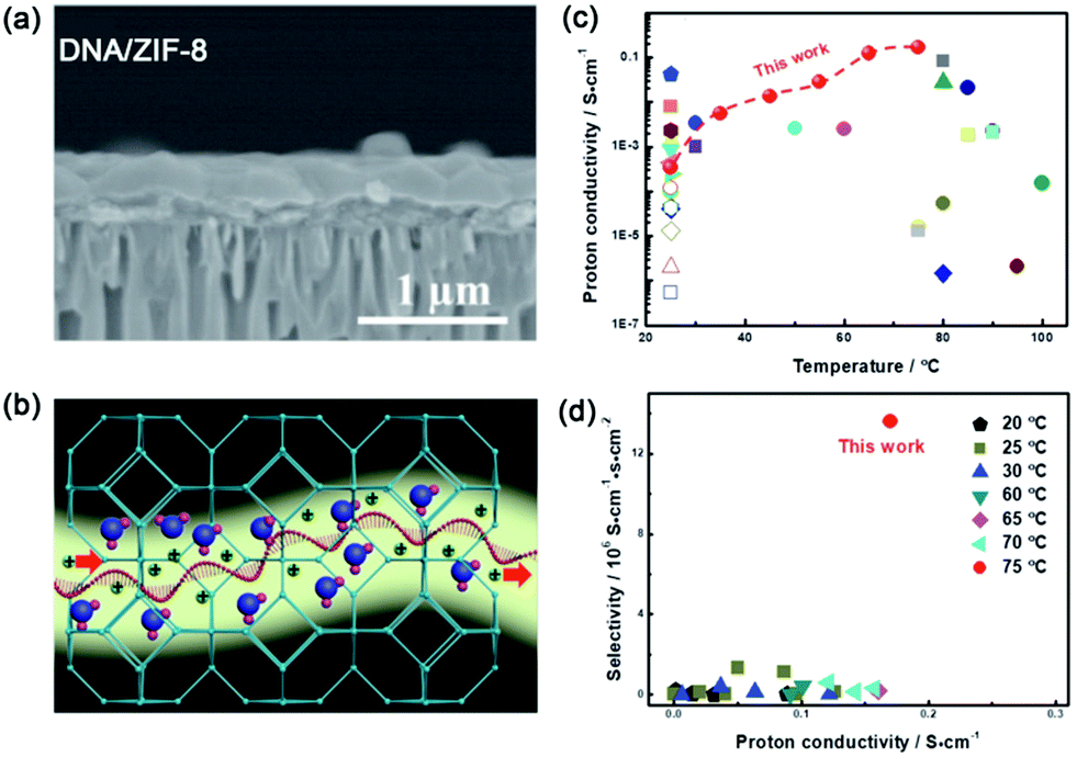 Ultrathin metal/covalent–organic framework membranes towards 