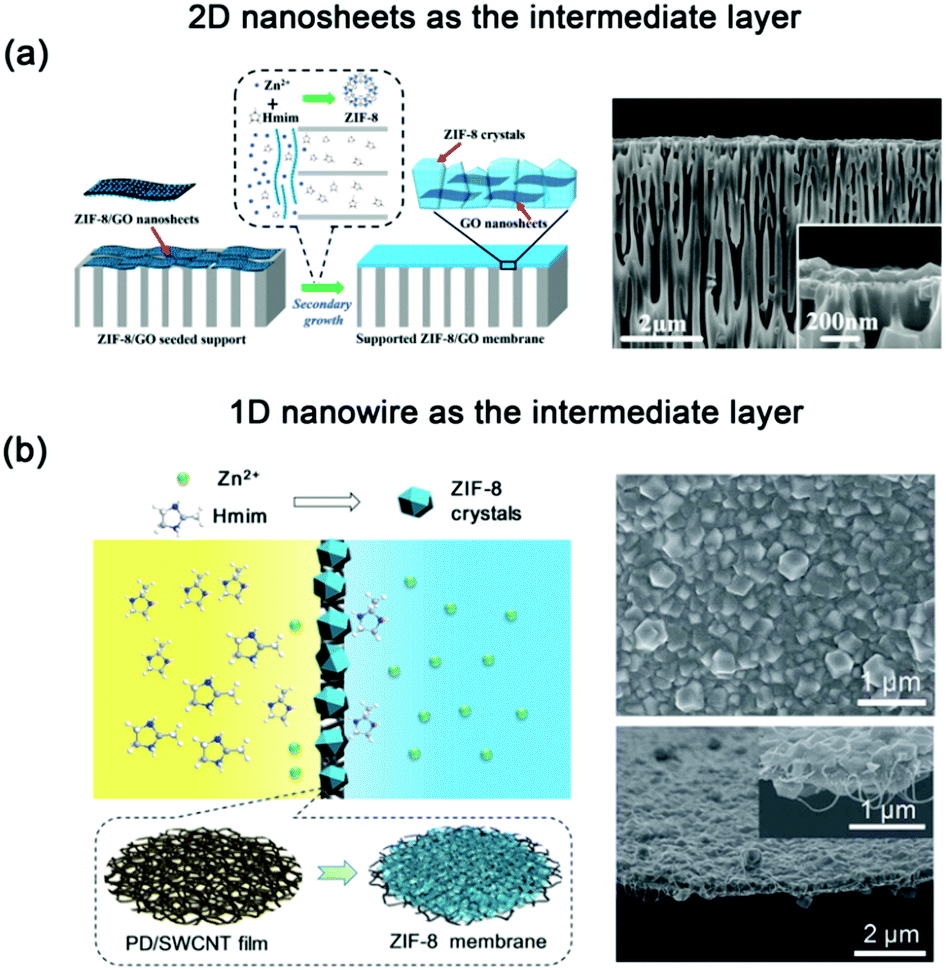 Recent Advances in Natural-Polymer-Based Hydrogels for Body