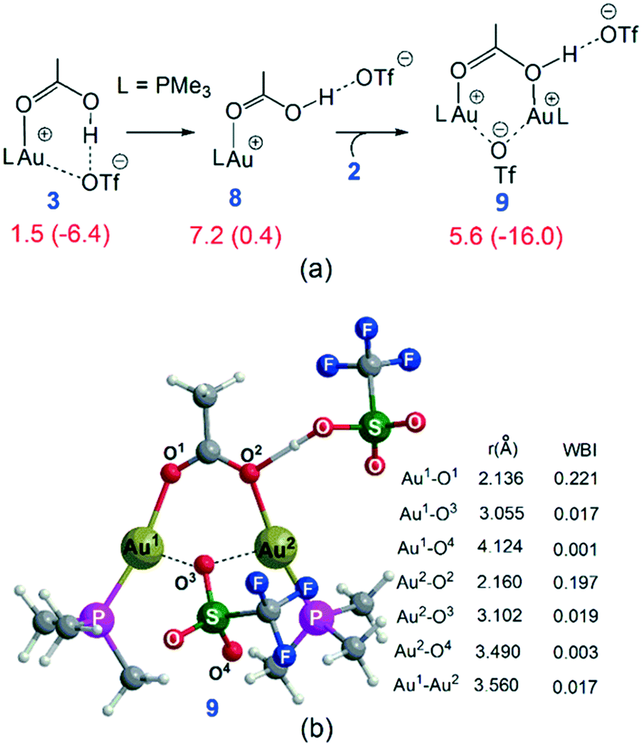 Proton Supplier Role Of Binuclear Gold Complexes In Promoting Hydrofunctionalisation Of Nonactivated Alkenes Catalysis Science Technology Rsc Publishing Doi 10 1039 C8cy024k