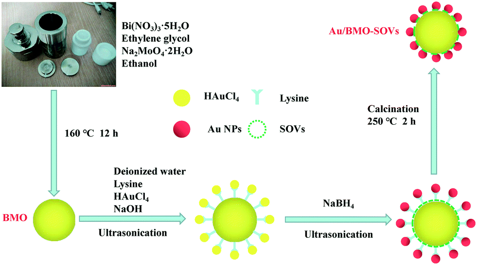 Ultrafine Au Nanoparticles Anchored On Bi 2 Moo 6 With - 