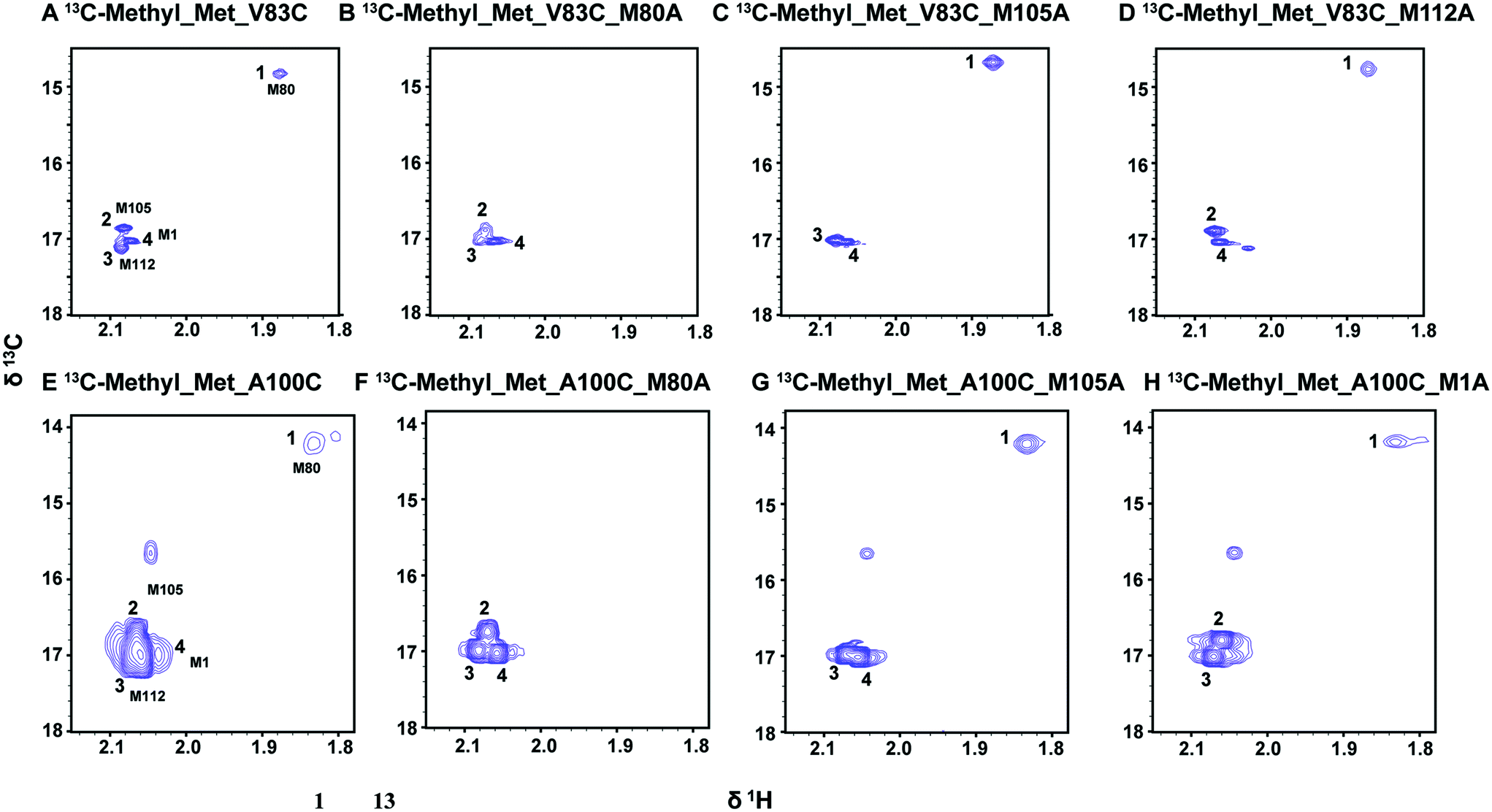 Catalytic And Biophysical Investigation Of Rhodium Hydroformylase Catalysis Science Technology Rsc Publishing Doi 10 1039 C9cya