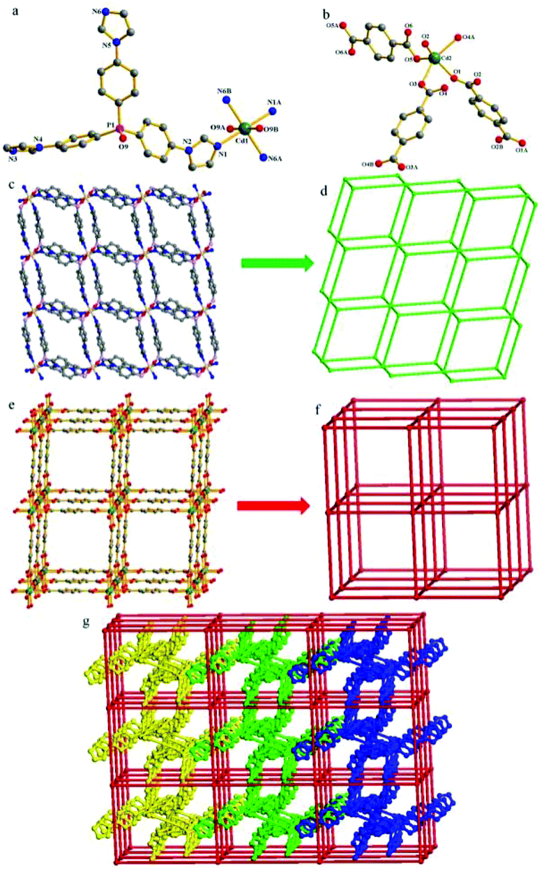 Variation of topologies and entanglements in metal–organic 