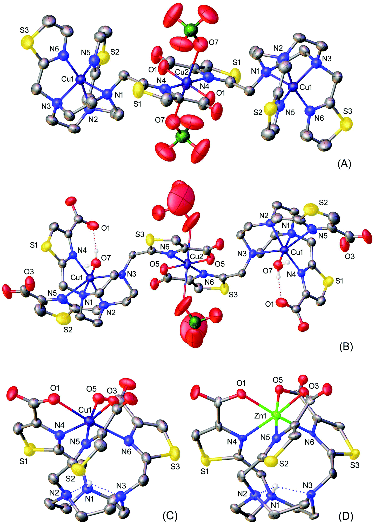 endo - versus exo -Cyclic coordination in copper complexes with