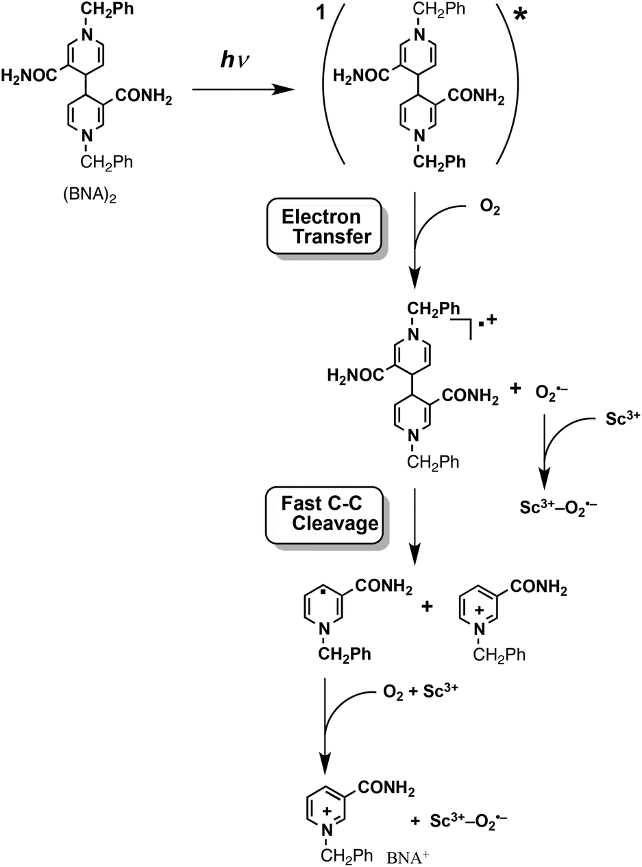 Mononuclear Manganese(III) Superoxo Complexes: Synthesis