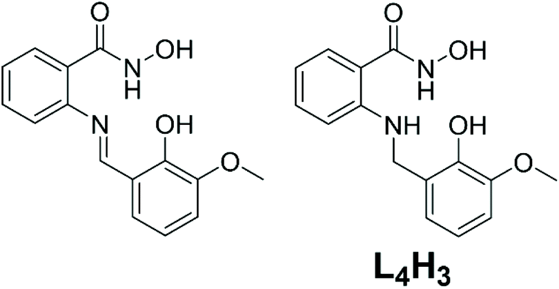 Mono- and ditopic hydroxamate ligands towards discrete and