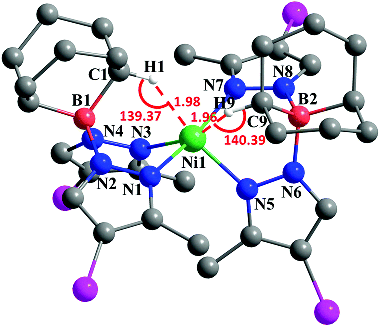 Synthesis And Characterization Of Bis Pyrazolyl Borate Ni Ii Complexes Ligand Rearrangement And Transformation Dalton Transactions Rsc Publishing Doi 10 1039 C9dtb