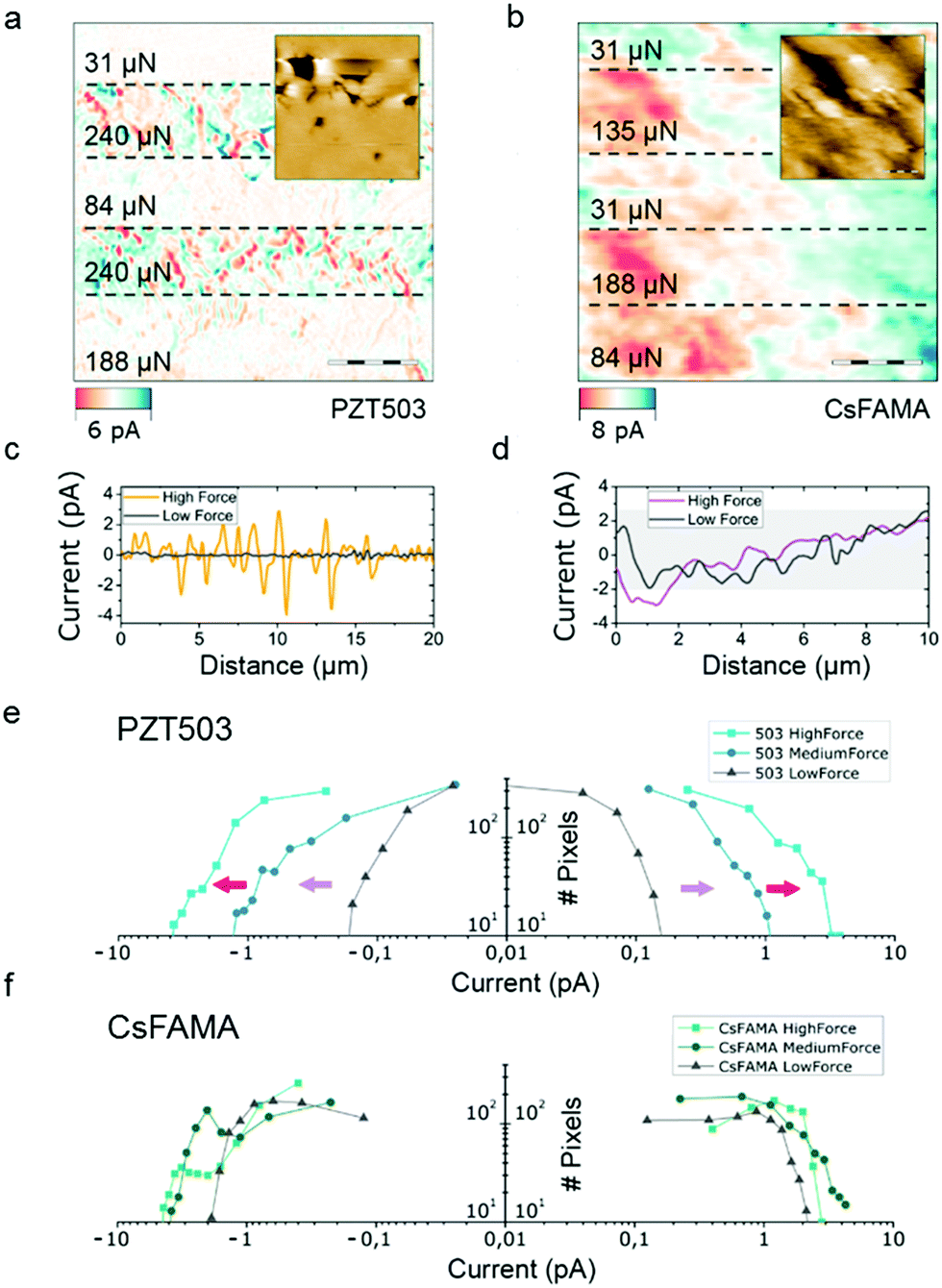 Ferroelectricity Free Lead Halide Perovskites Energy