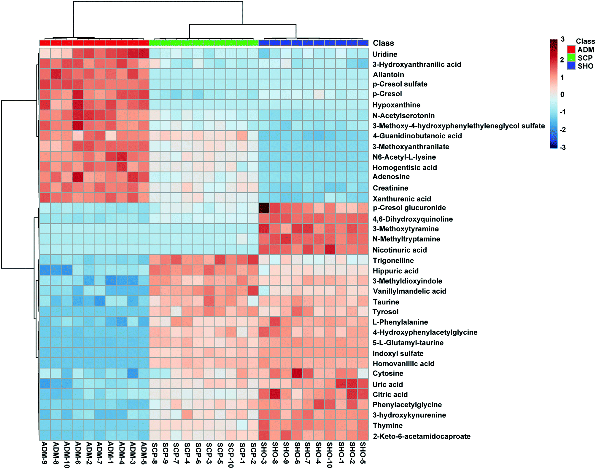 Pharmacodynamic And Urinary Metabolomics Studies On The Mechanism Of Schisandra Polysaccharide In The Treatment Of Alzheimer S Disease Food Function Rsc Publishing Doi 10 1039 C8fo067a