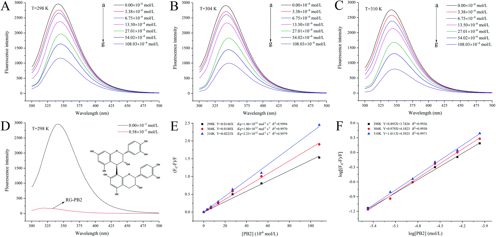 Protein–polyphenol interactions enhance the antioxidant