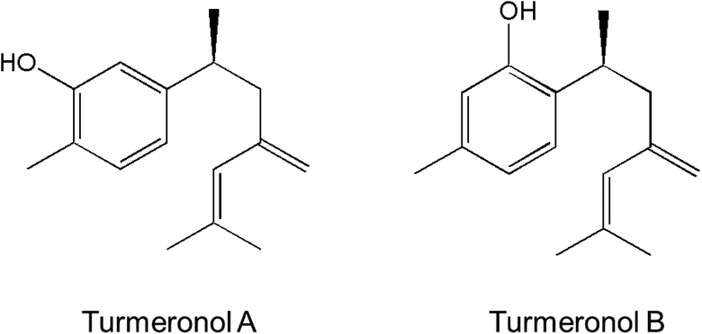 Turmeronol A and turmeronol B from Curcuma longa prevent