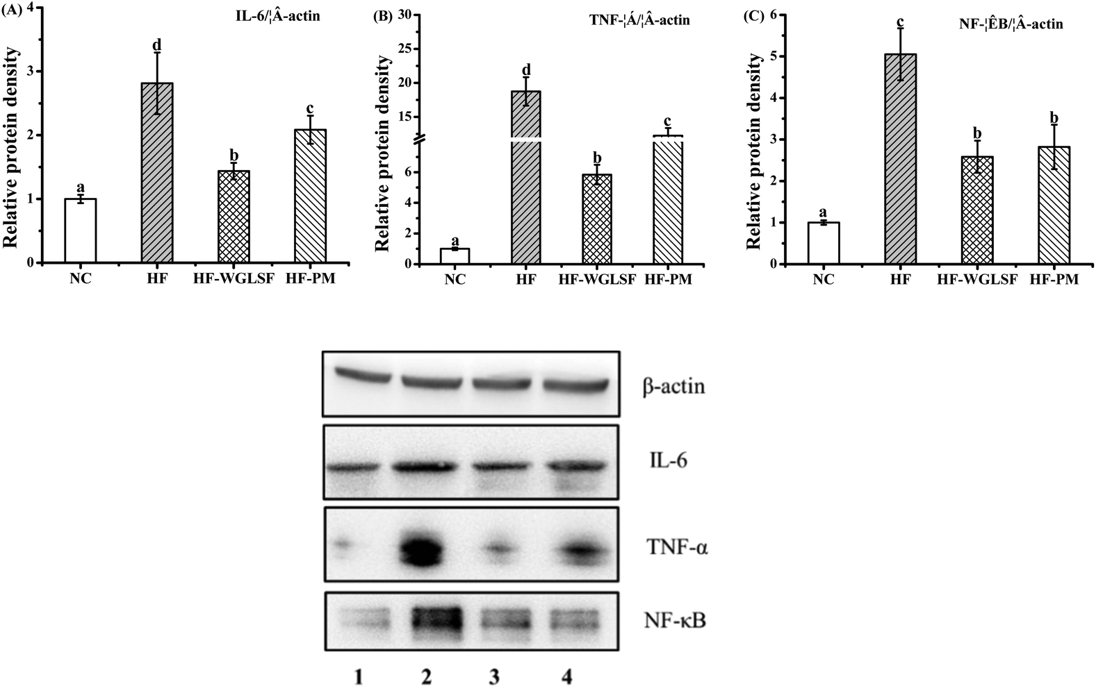 Starch And B Glucan In A Whole Grain Like Structural Form Improve Hepatic Insulin Sensitivity In Diet Induced Obese Mice Food Function Rsc Publishing Doi 10 1039 C9foa