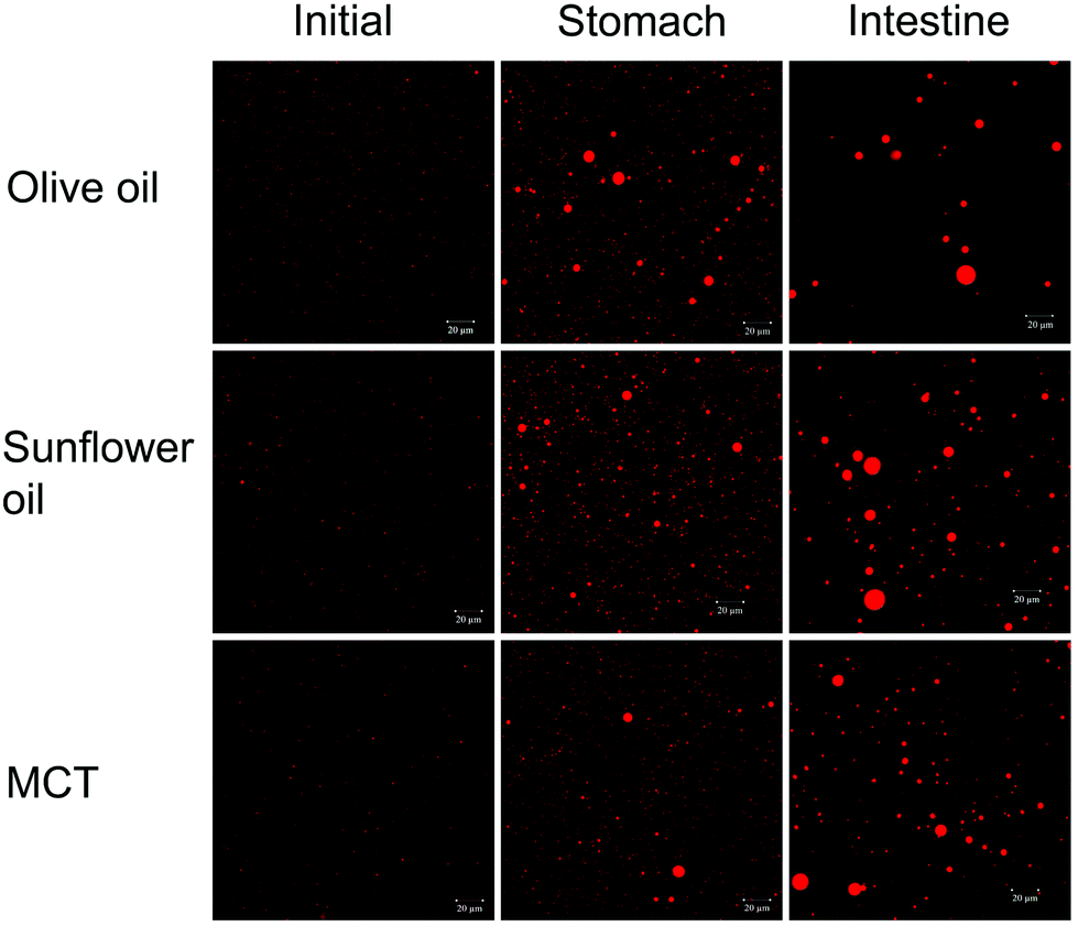 Essential Oil Nanoemulsions with Stuph