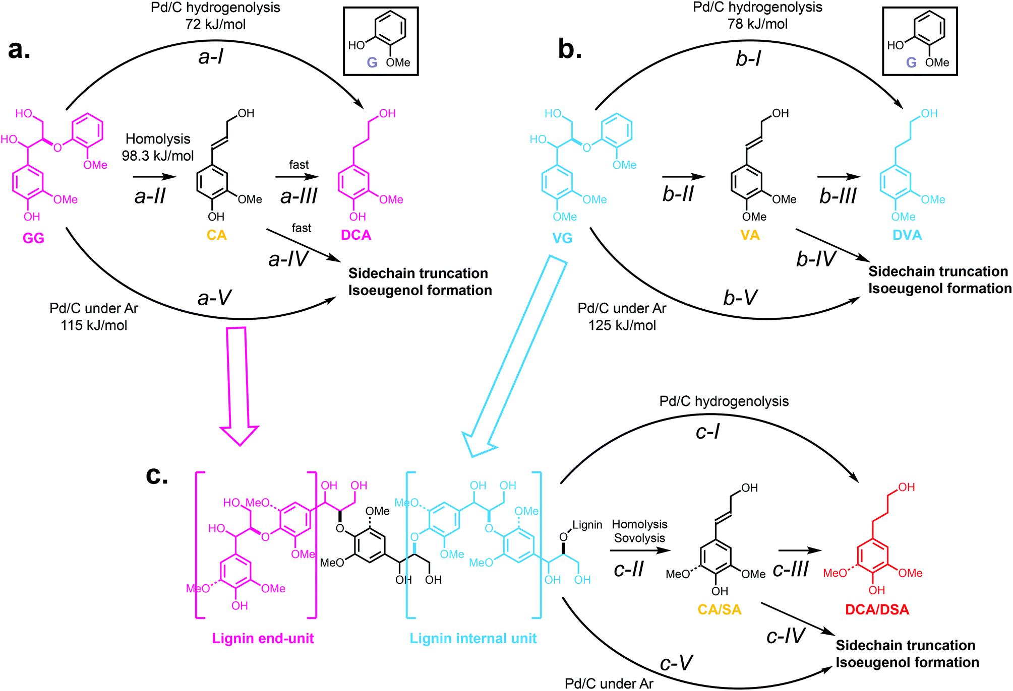 Kinetic and mechanistic insights into hydrogenolysis of lignin to