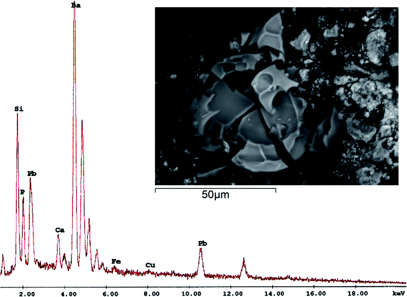 SEM photomicrographs of PCL NPs: (A) F3, HSA (scale bar = 10 μ m