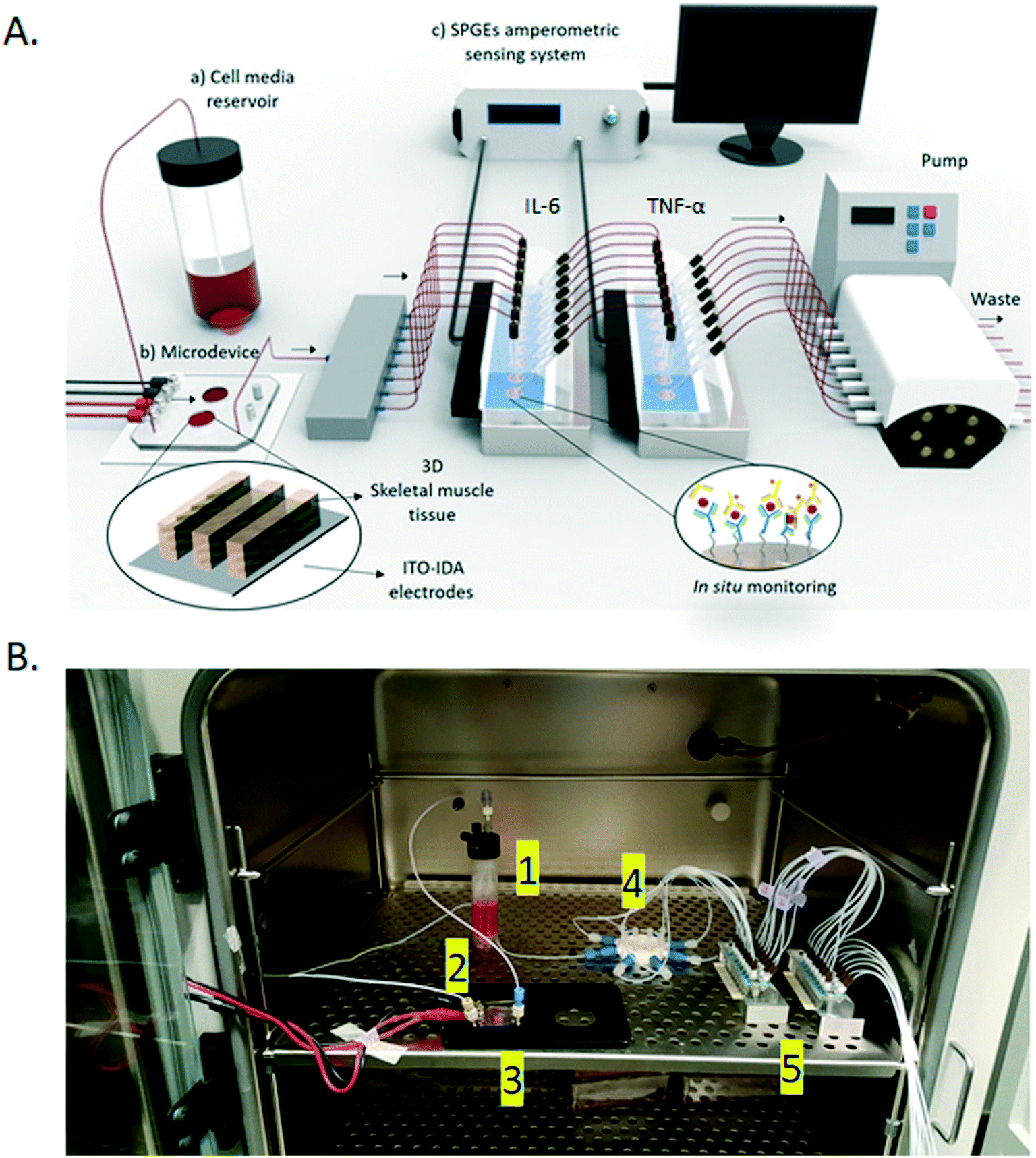 PTFE Tubing 1/32 OD x 0.30 mm ID for Microfluidics– Darwin Microfluidics