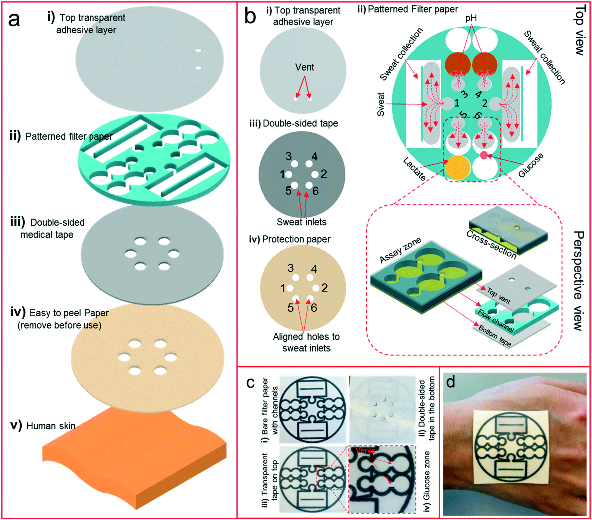 A versatile, cost-effective, and flexible wearable biosensor for in situ  and ex situ sweat analysis, and personalized nutrition assessment - Lab on  a Chip (RSC Publishing) DOI:10.1039/C9LC00734B