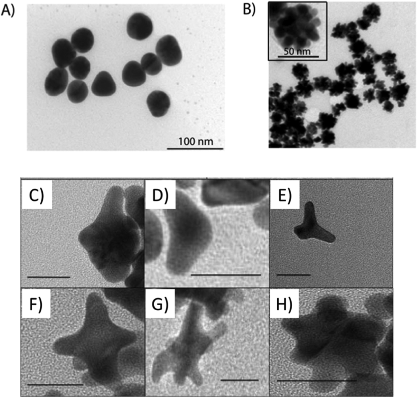 Non Spherical Micro And Nanoparticles In Nanomedicine Materials Horizons Rsc Publishing Doi 10 1039 C8mha Non Spherical Micro And Nanoparticles In Nanomedicine Materials Horizons Rsc Publishing Doi 10 1039 C8mha