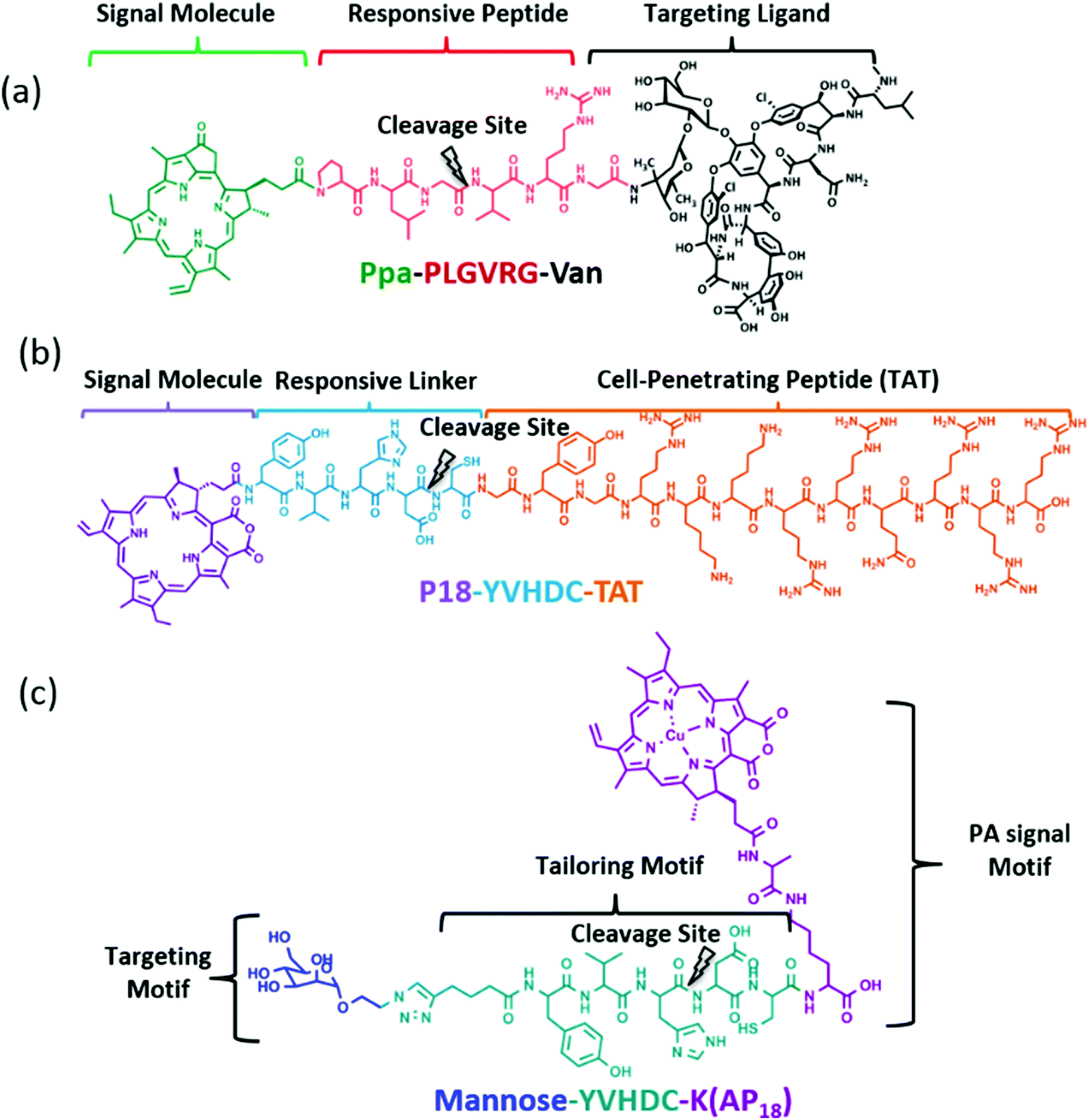 Self Assembled Nanomaterials Design Principles The Nanostructural Effect And Their Functional Mechanisms As Antimicrobial Or Detection Agents Materials Horizons Rsc Publishing Doi 10 1039 C8mhd