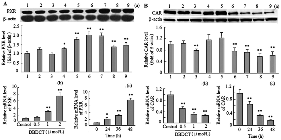 Organotin compound DBDCT induces CYP3A suppression through NF-κB-mediated  repression of PXR activity - Metallomics (RSC Publishing)  DOI:10.1039/C8MT00361K