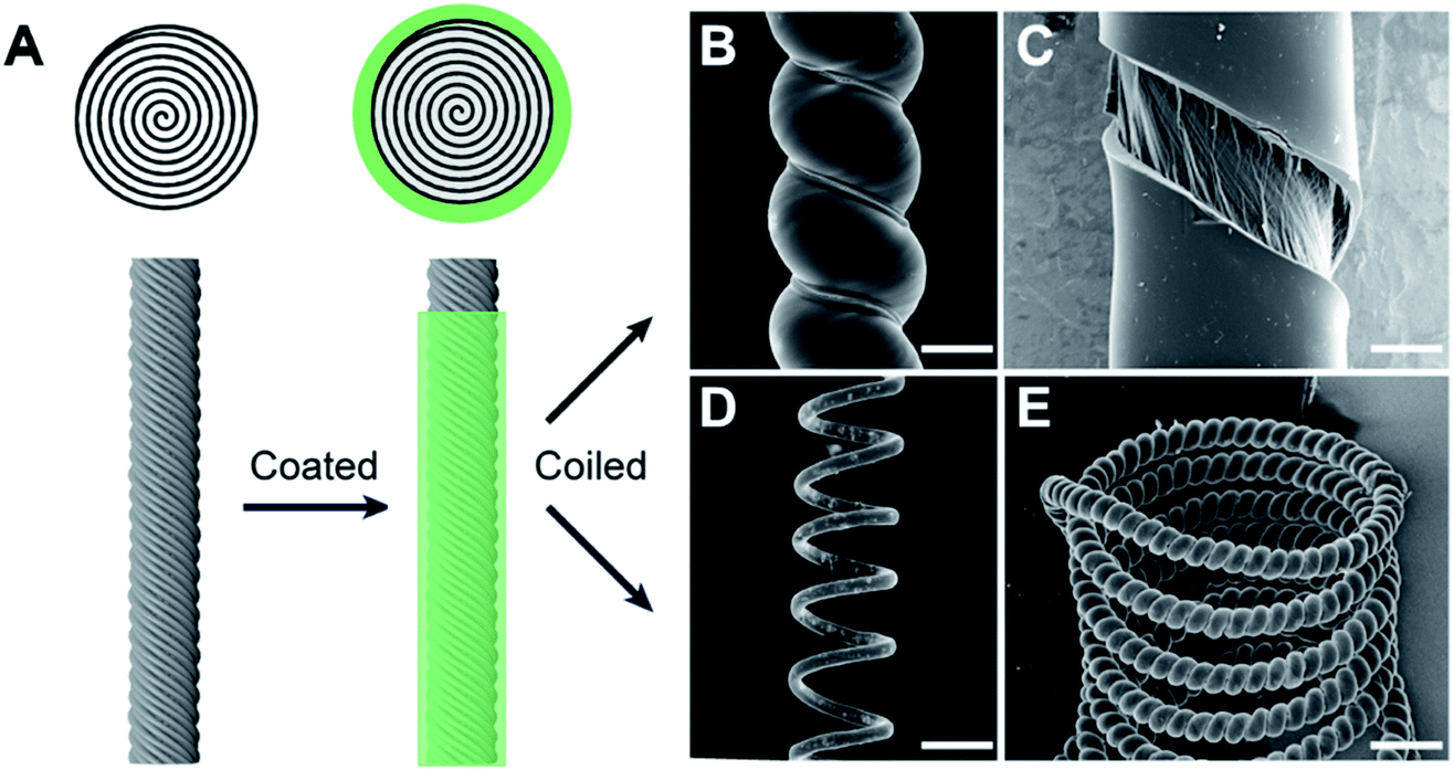 Overtwisting and Coiling Highly Enhance Strain Generation of
