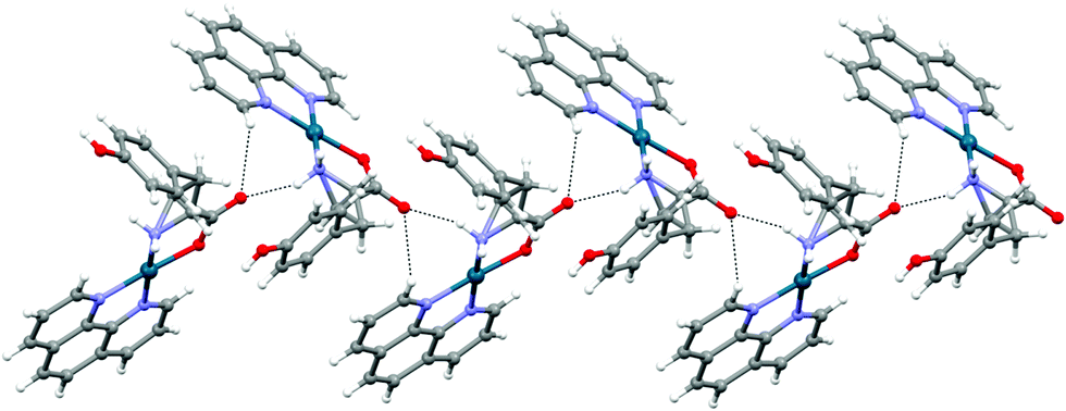 Water-soluble binary and ternary palladium( ıı ) complexes Water-soluble binary and ternary palladium( ıı ) complexes