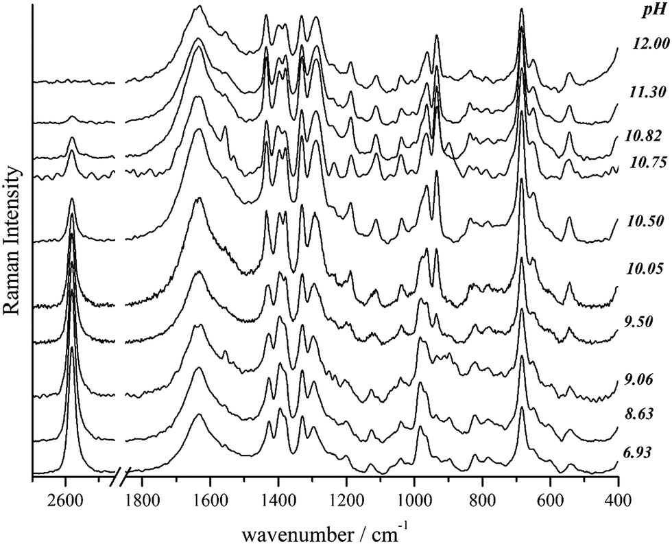 A Raman Sers And Uv Circular Dichroism Spectroscopic Study Of N