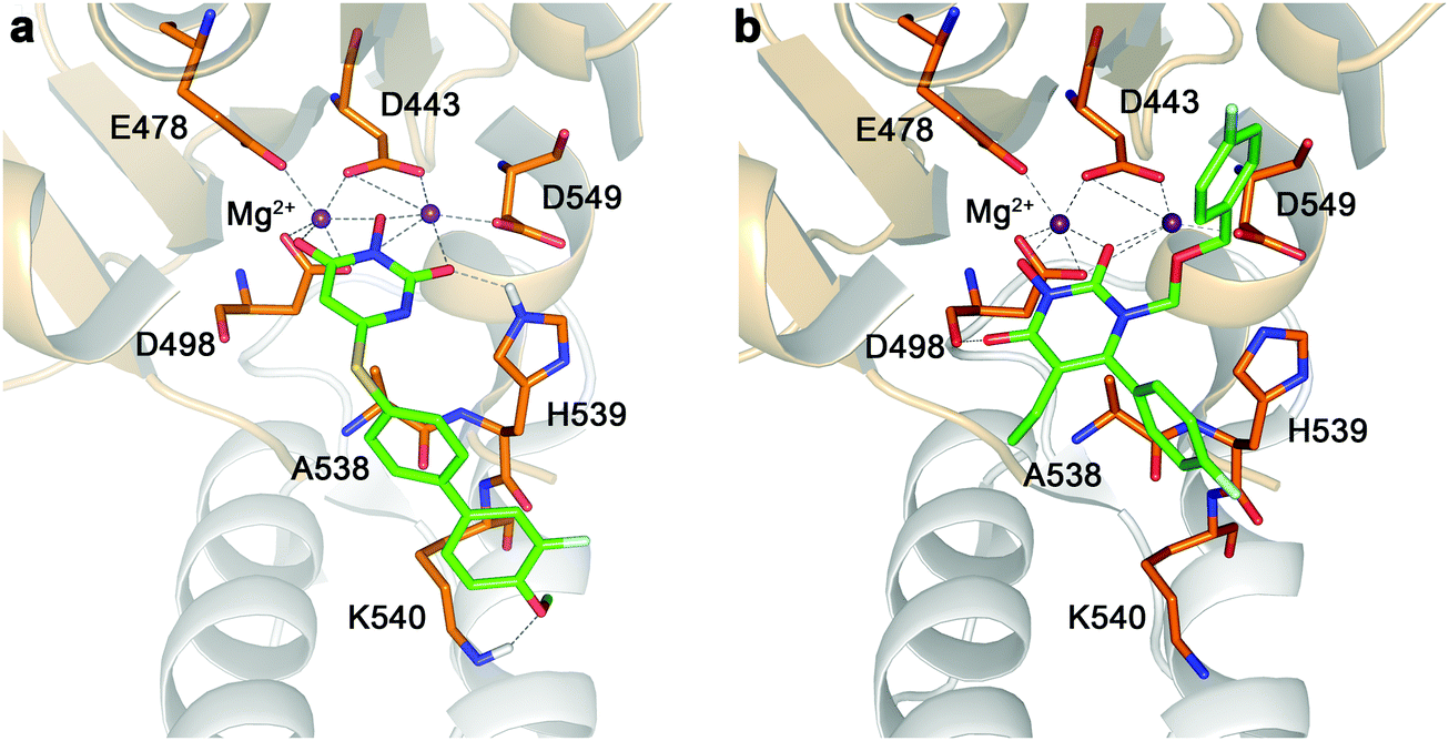 In silico study of 3-hydroxypyrimidine-2,4-diones as inhibitors of 