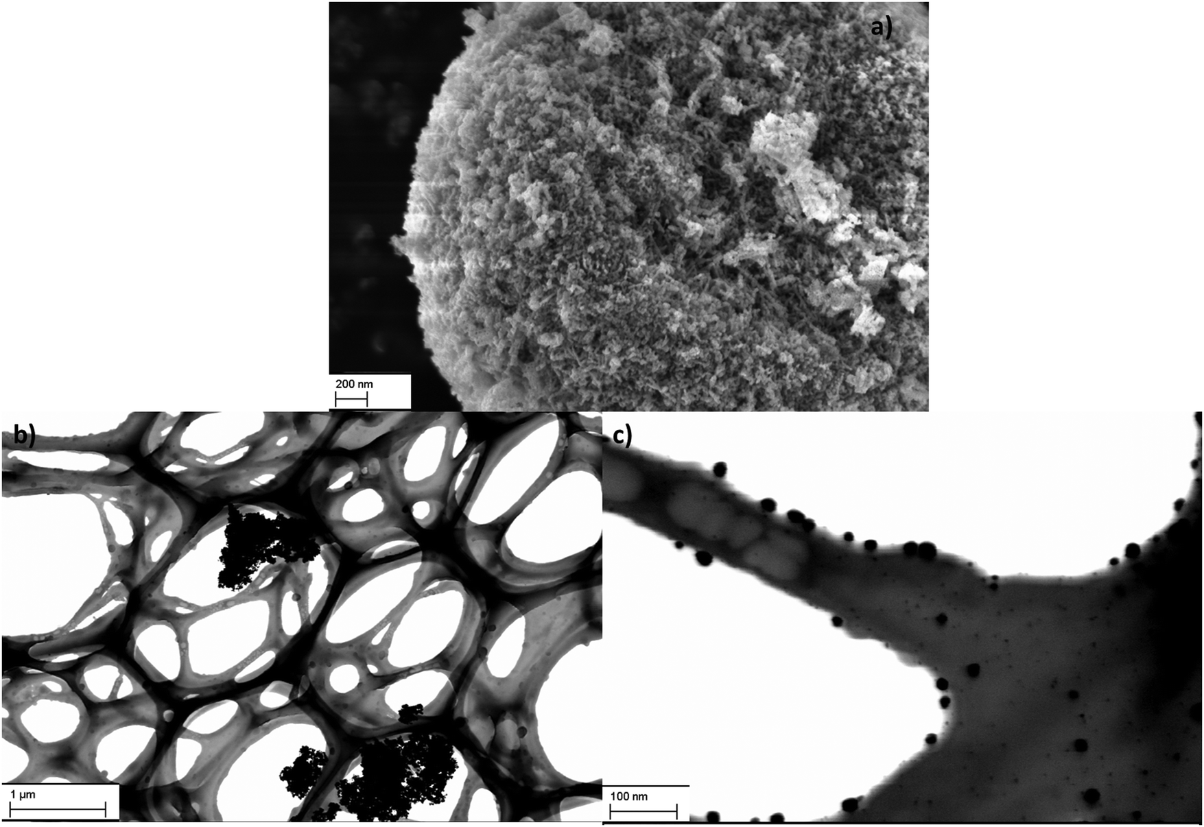 Cuo Nanoparticle Penetration Through Intact And Damaged Human Skin New Journal Of Chemistry Rsc Publishing Doi 10 1039 C9njd Cuo Nanoparticle Penetration Through Intact And Damaged Human Skin New Journal Of Chemistry Rsc Publishing Doi 10 1039 C9njd