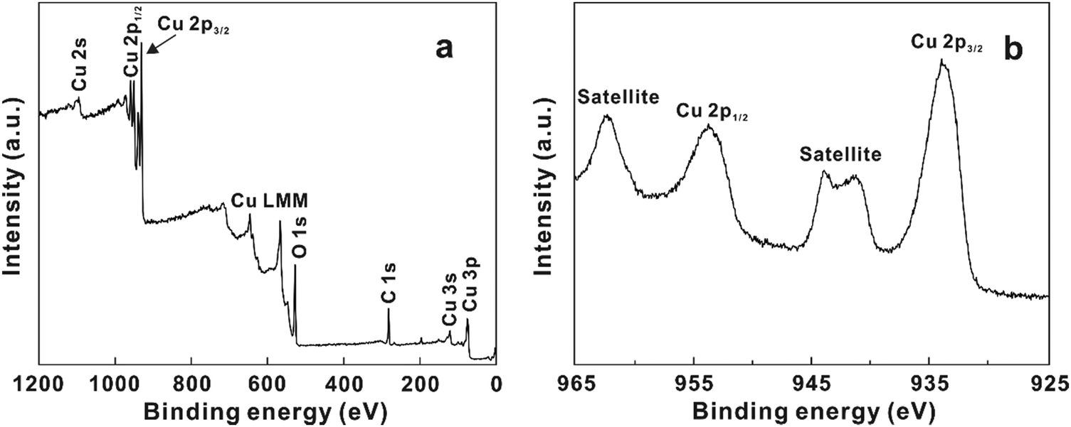 Hydrothermal fabrication of hierarchical CuO nanoflowers for dual 