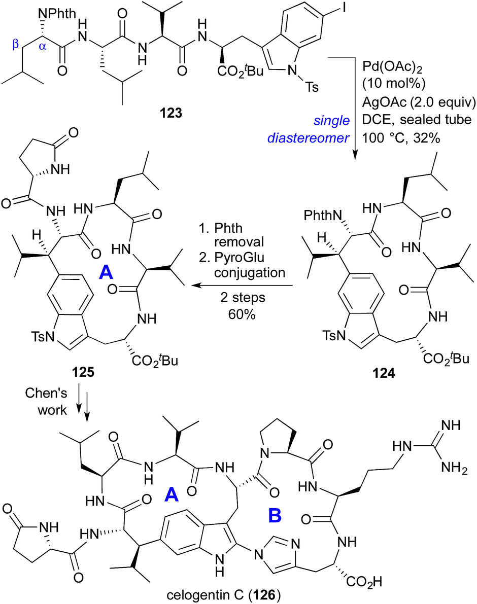 Stereoconfining macrocyclizations in the total synthesis of 
