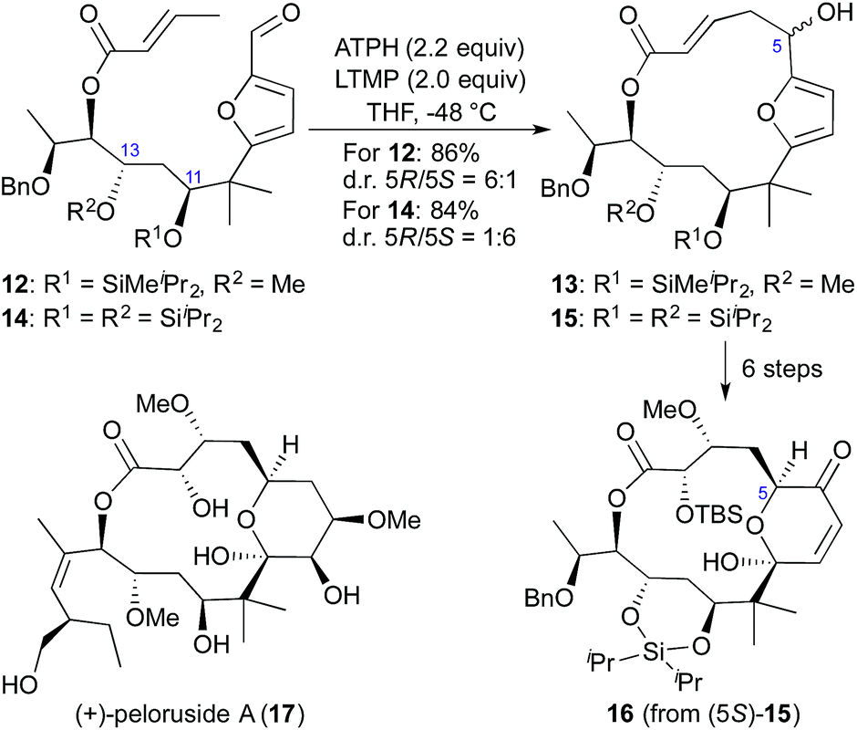 Stereoconfining macrocyclizations in the total synthesis of 