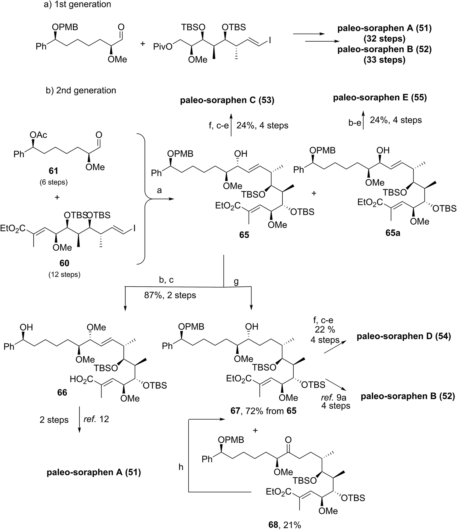 The intriguing chemistry and biology of soraphens - Natural 