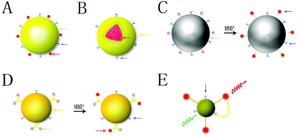 Various nanotechnology-based molecular imaging methods (A) PP/PS@MIONs