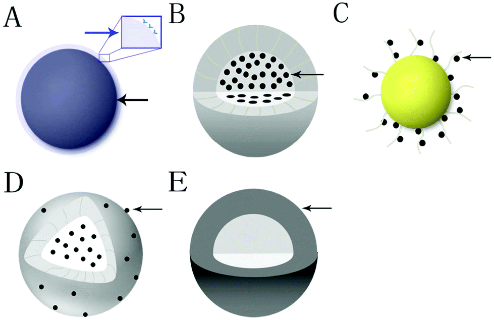 Applications of nanoparticles in biomedical imaging - Nanoscale 