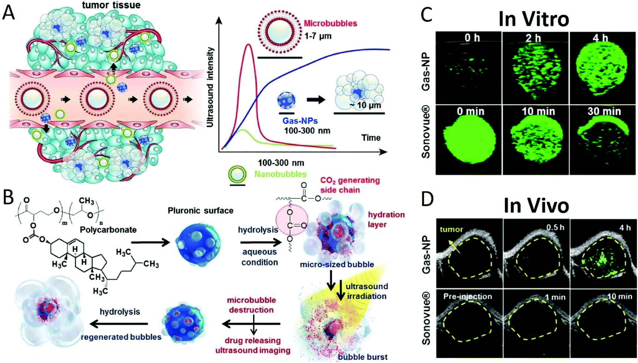 Various nanotechnology-based molecular imaging methods (A) PP/PS@MIONs