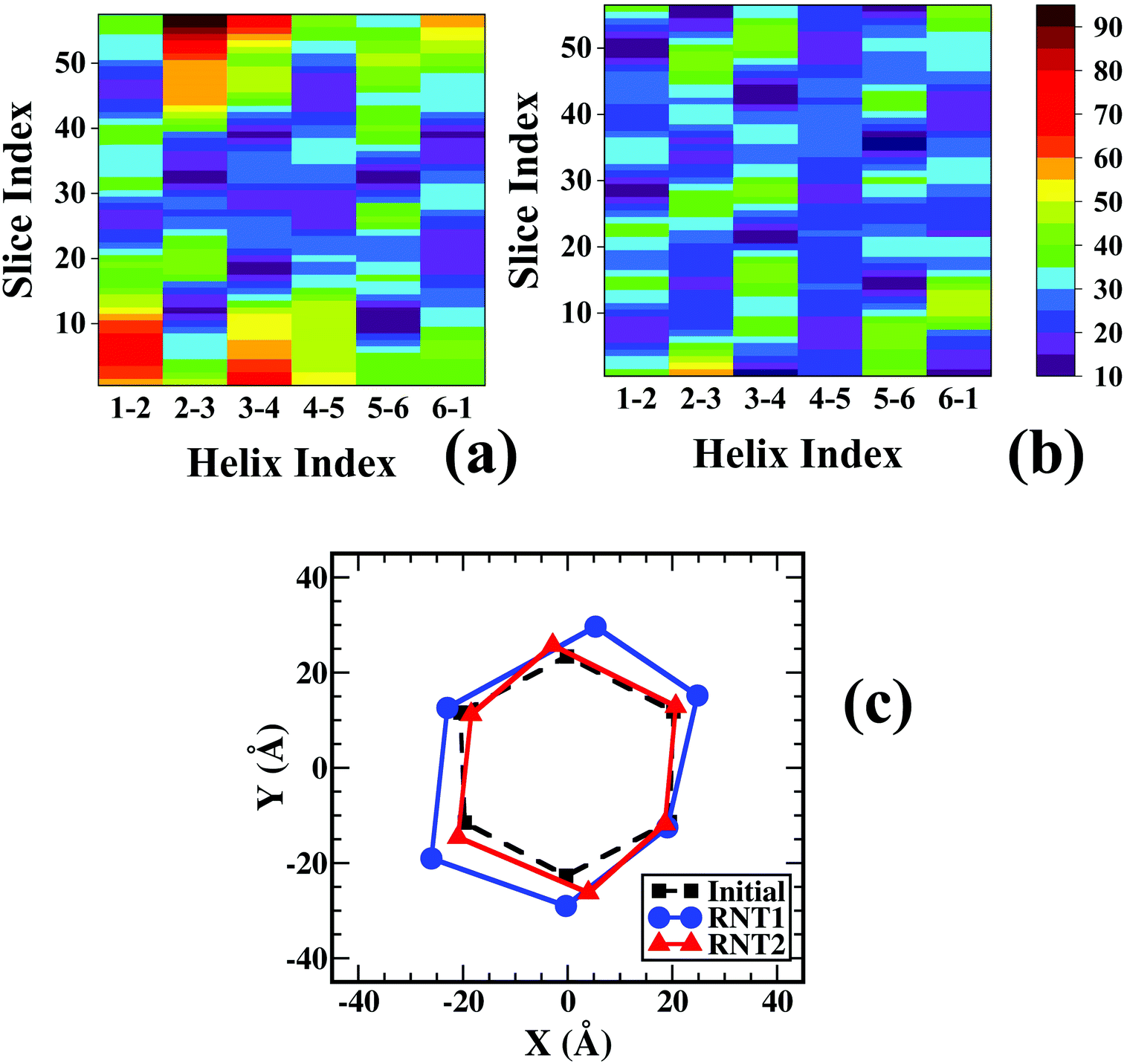 Atomic Structures Of Rna Nanotubes And Their Comparison With Dna Nanotubes Nanoscale Rsc Publishing Doi 10 1039 C9nre