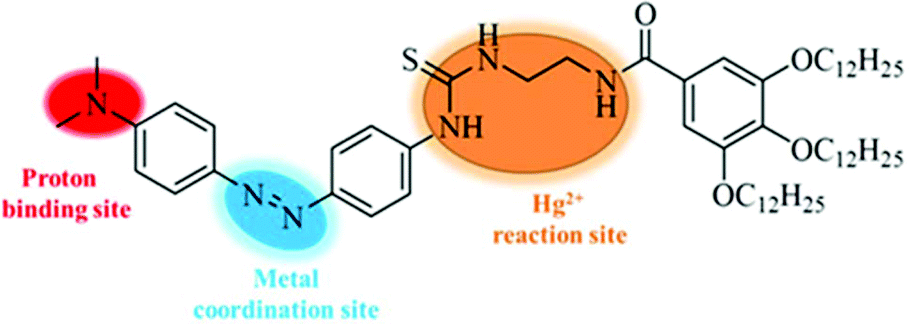 Multifunctional supramolecular self-assembly system for 