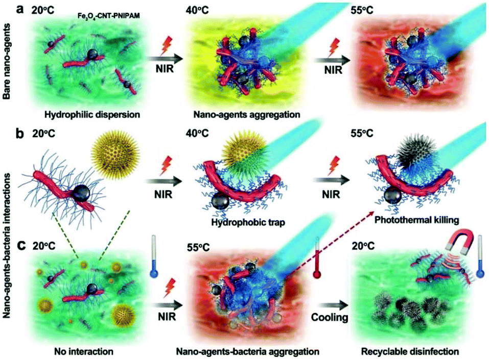 Nanomaterials with a photothermal effect for antibacterial Nanomaterials with a photothermal effect for antibacterial