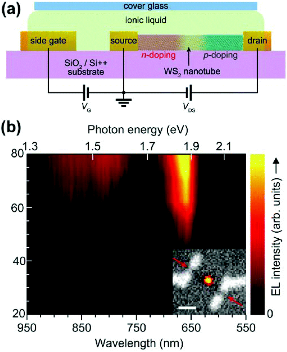 An overview of the recent advances in inorganic nanotubes An overview of the recent advances in inorganic nanotubes