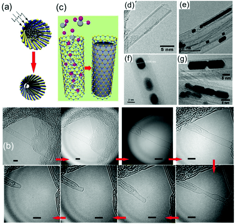 An overview of the recent advances in inorganic nanotubes An overview of the recent advances in inorganic nanotubes