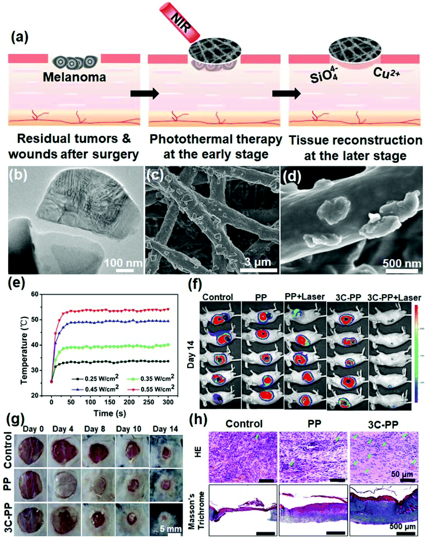 Nanobiomaterials: from 0D to 3D for tumor therapy and tissue 