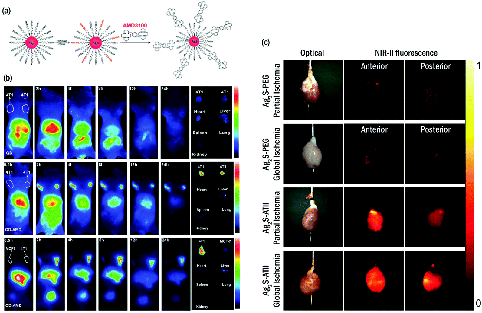 https://pubs.rsc.org/image/article/2019/NR/c9nr05733a/c9nr05733a-f5_hi-res.gif