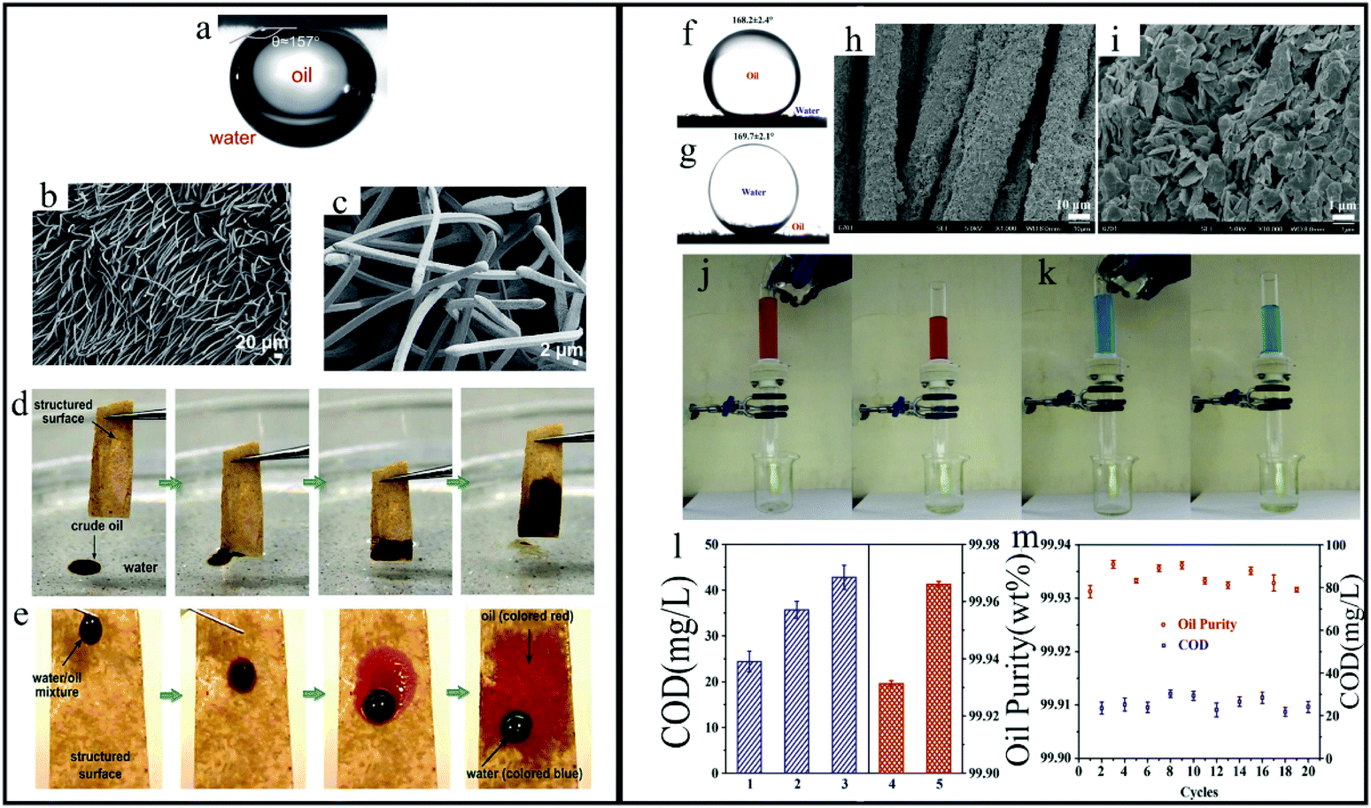 Water-repellent Hybrid Nanowire and Micro-scale Denticle Structures on  Flexible Substrates of Effective Air Retention