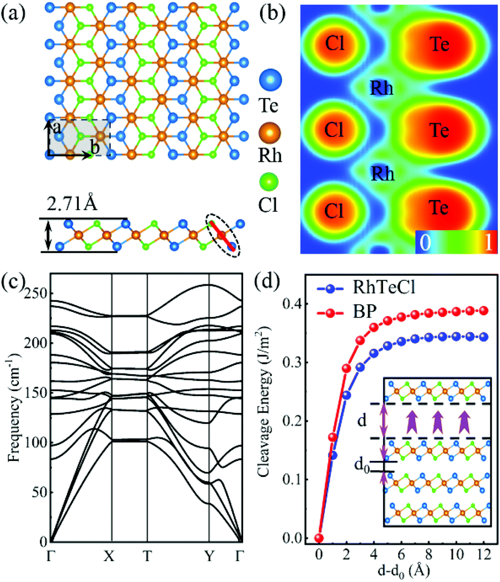 Electronic structure and transport properties of 2D RhTeCl: a NEGF 