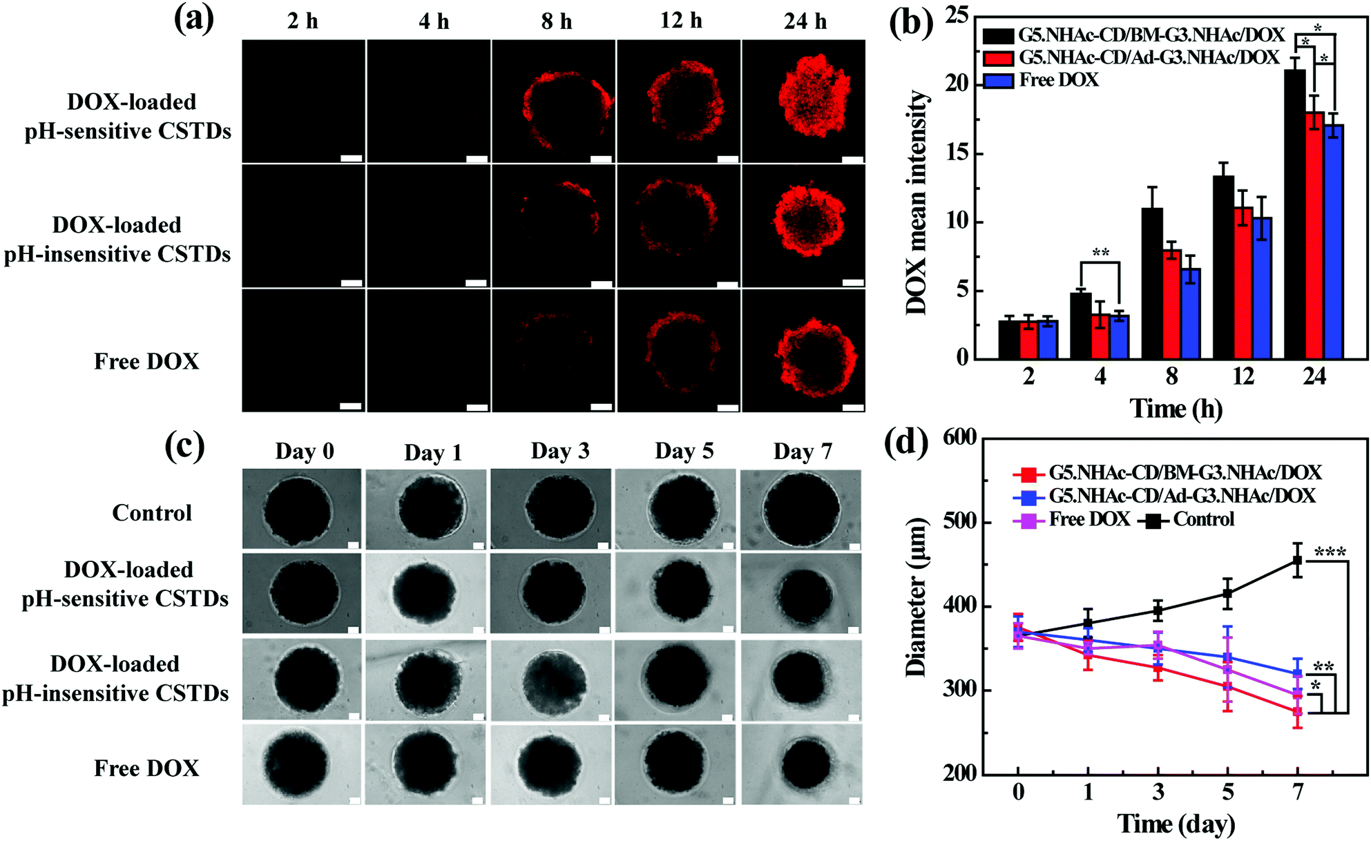 Core Shell Tecto Dendrimers Formed Via Host Guest Supramolecular Assembly As Ph Responsive Intelligent Carriers For Enhanced Anticancer Drug Delivery Nanoscale Rsc Publishing Doi 10 1039 C9nr08309j