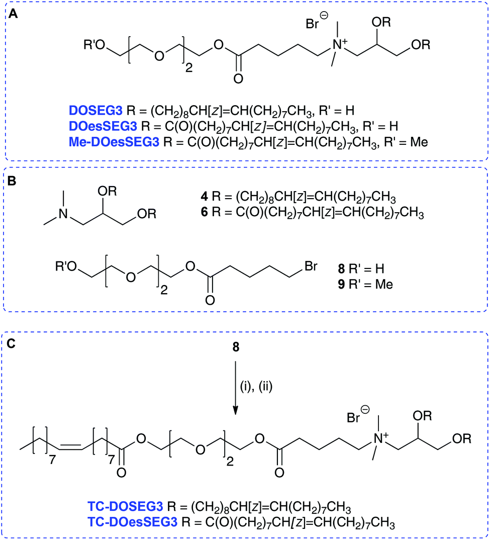 The Discovery And Enhanced Properties Of Trichain Lipids In Lipopolyplex Gene Delivery Systems Organic Biomolecular Chemistry Rsc Publishing Doi 10 1039 C8obc