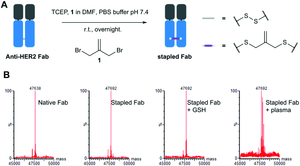 https://pubs.rsc.org/image/article/2019/OB/c8ob02877j/c8ob02877j-f1_hi-res.gif