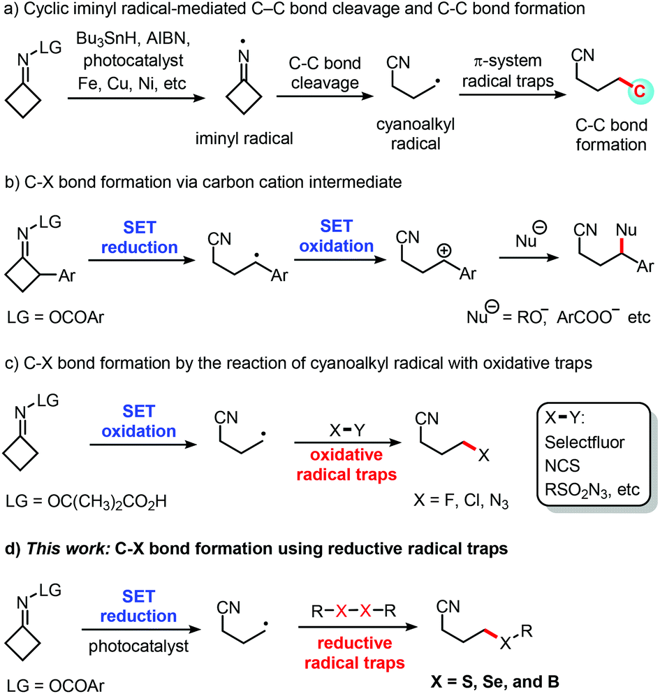 A Photocatalytic Sp 3 C S C Se And C B Bond Formation Through C C Bond Cleavage Of Cycloketone Oxime Esters Organic Biomolecular Chemistry Rsc Publishing Doi 10 1039 C8ob02987c