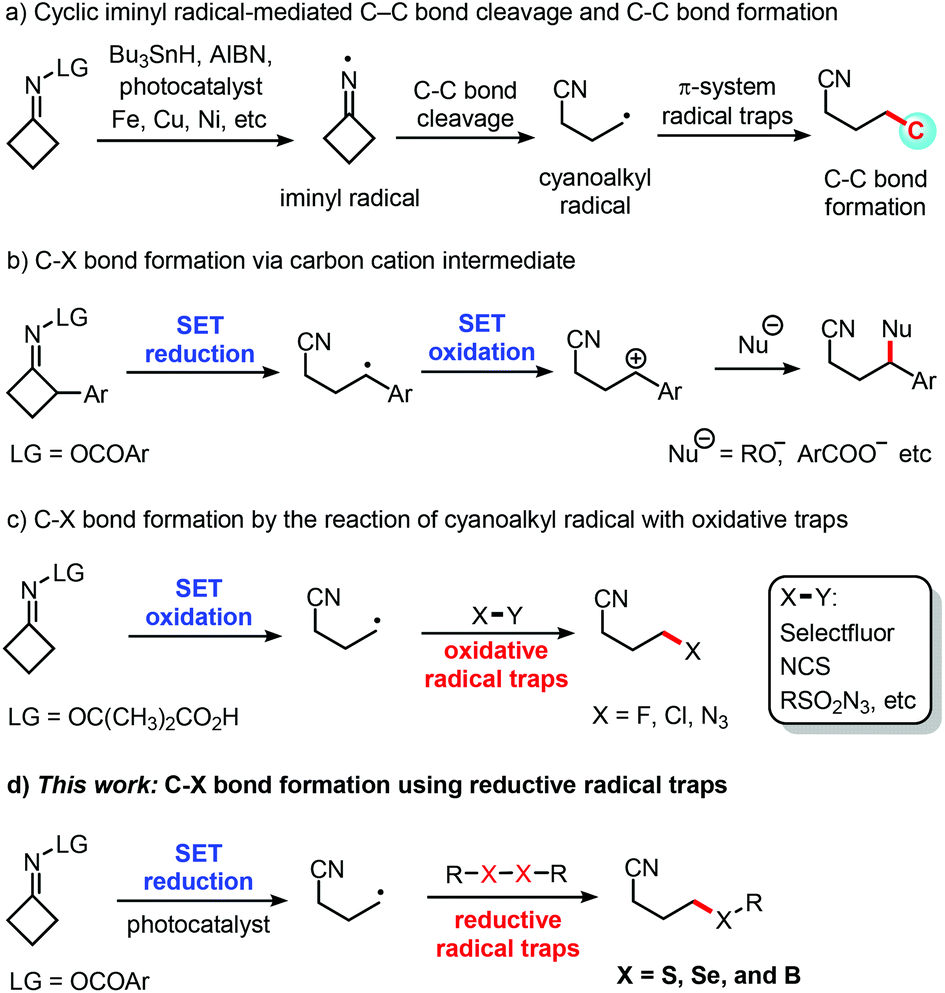 A Photocatalytic Sp 3 C S C Se And C B Bond Formation Through C C Bond Cleavage Of Cycloketone Oxime Esters Organic Biomolecular Chemistry Rsc Publishing Doi 10 1039 C8obc