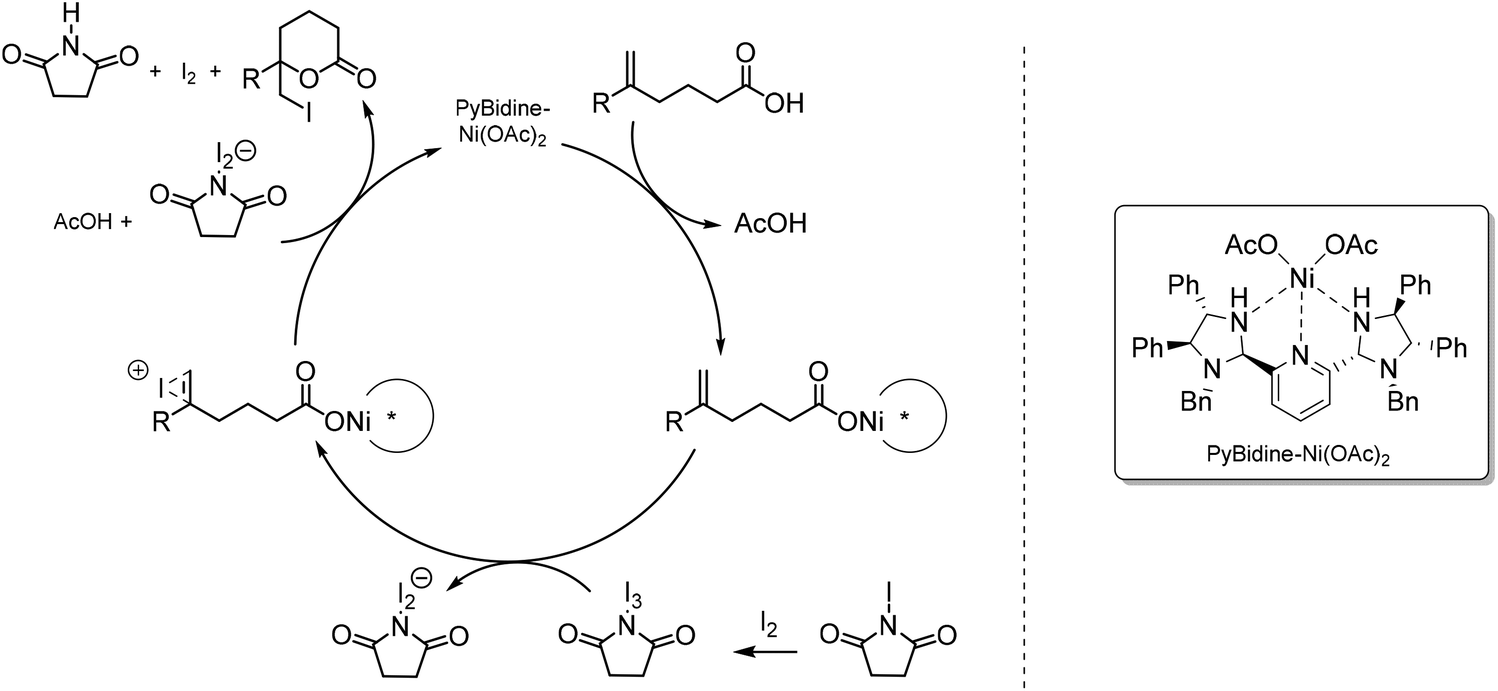 Catalytic enantioselective iodolactonization reactions - Organic &  Biomolecular Chemistry (RSC Publishing) DOI:10.1039/C8OB03160F